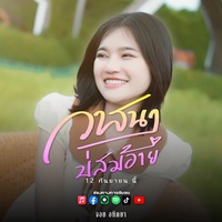 วาสนาบ่สมอ้าย(พรีวิว)
