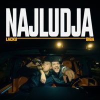 Najludja