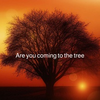 Are You Coming to the Tree (Phonk)