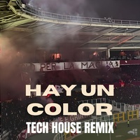 HAY UN COLOR TECH HOUSE