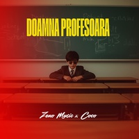 Doamna profesoara