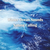 겨울바다소리 Winter Ocean Sounds