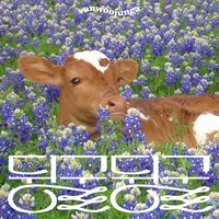 Spring Attitude