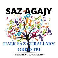 Türkmen tansy (halk saz gurallary)