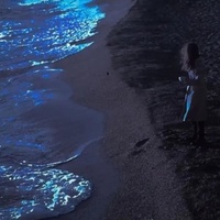 oceans