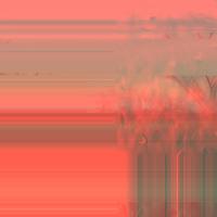 Body temperature layer