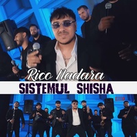 Sistemul Shisha - Live
