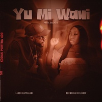 Yu mi wani