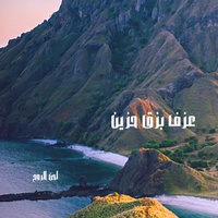عزف بزق حزين