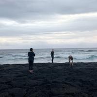 Audio 002 (Slowed + Reverb)