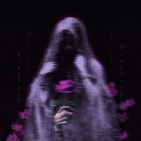 Within The Veil