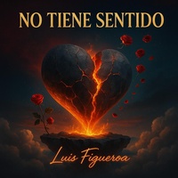 NO TIENE SENTIDO
