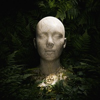 face