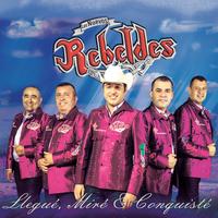 Llegue Mire y Conquiste