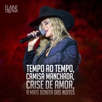Tempo ao tempo / camisa manchada / crises de amor / a mais bonita das noites - Ao Vivo
