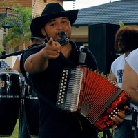 La chiflera que palomo!