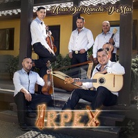 Huapango a Michoacán