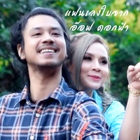 แฟนเลงใบจาก
