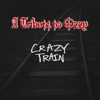 Crazy Train - Acoustic