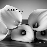 너의 봄으로 올게