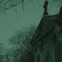 Gloomy forest