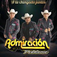 Ilusión 98