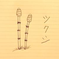 ツクシ