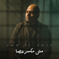 مش مكسر عصا