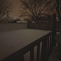 Nights In 2011