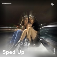 money trees - sped up + reverb