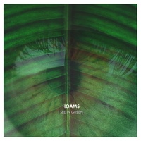 I See In Green