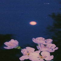 DON TOLIVER x CASH COBAIN WAVE BEAT