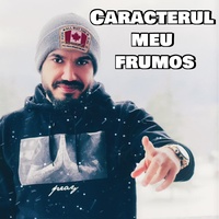 Caracterul meu