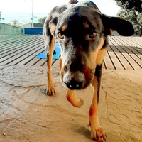 Before and After Song