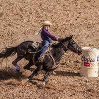 Sertanejo Evangelico Deus
