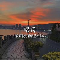 唱月-Dj锦先森版