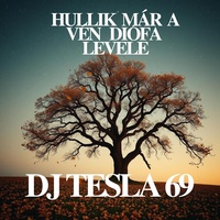 Hullik már a vén diófa levele
