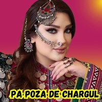 Pa Poza De Chargul