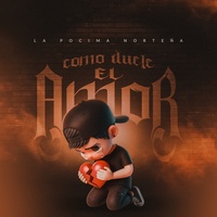 Como Duele El Amor