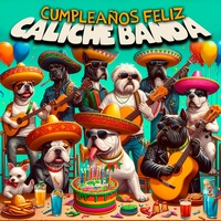 Feliz Cumpleaños - Salsa
