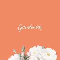 Gardenias