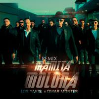 MAMITA MOLONA - Remix
