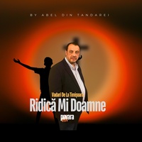 Vadari De La Timisoara
