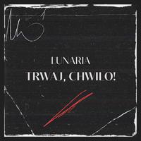 Trwaj, chwilo