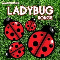 Little Ladybug