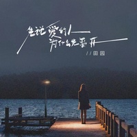 先说爱的人为什么先离开 - DJ京仔版