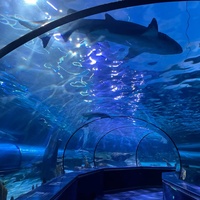 aquarium