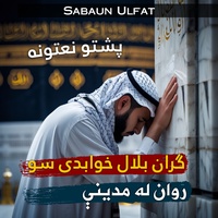 د ښايسته وږمې دي خيزي تر اسمانه پشتو نعت