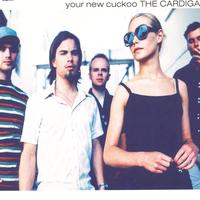 Your New Cuckoo - Radio Edit