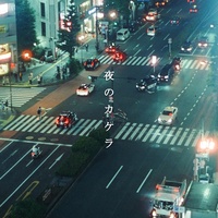 Yoru no kakera